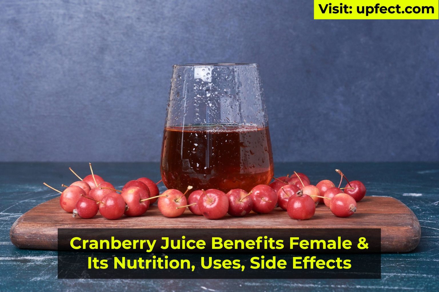 Cranberry Juice Benefits Female & Uses And More