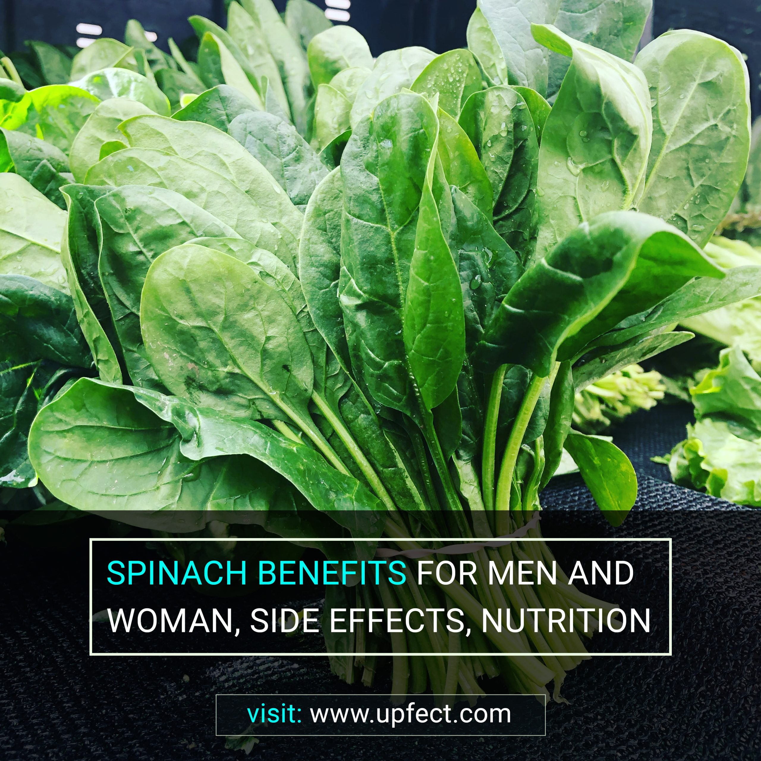 Spinach Benefits For Men