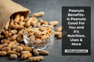 Is Peanuts Good For You and It’s Nutrition, Uses & More