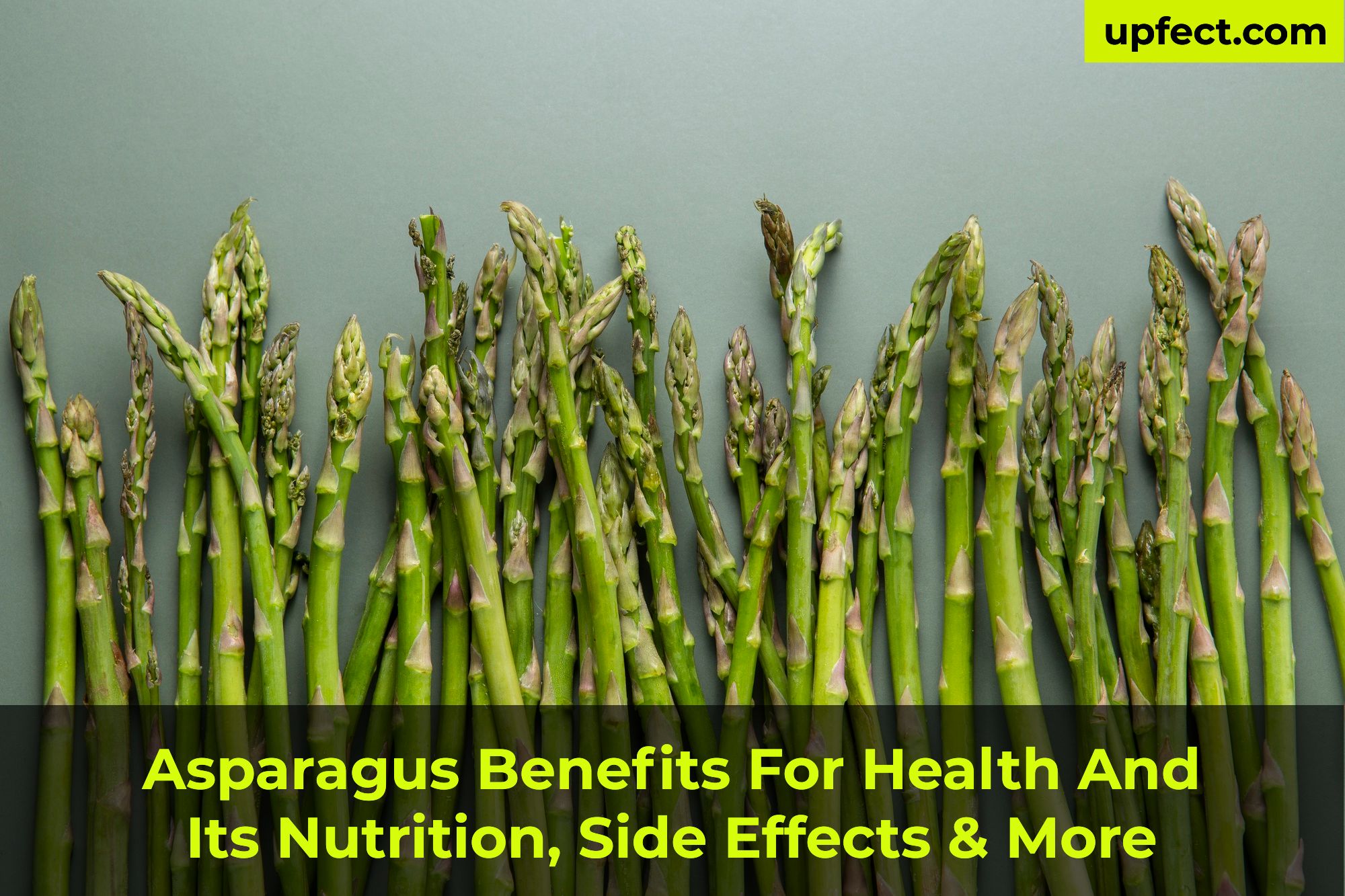 Asparagus Benefits For Health And Its Nutrition, Side Effects & More
