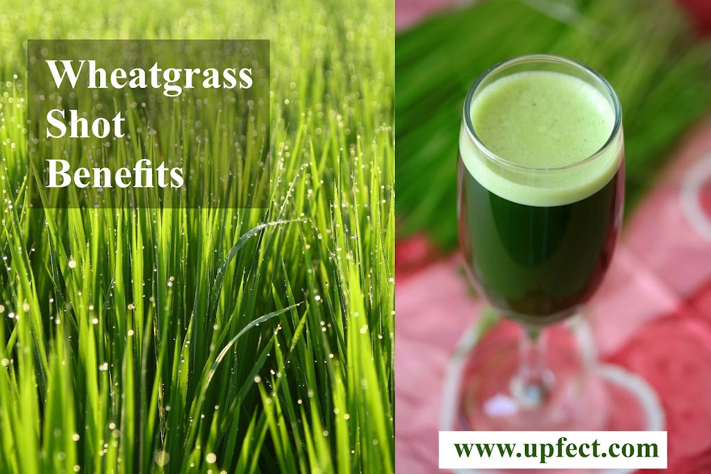 Wheatgrass Shot Benefits