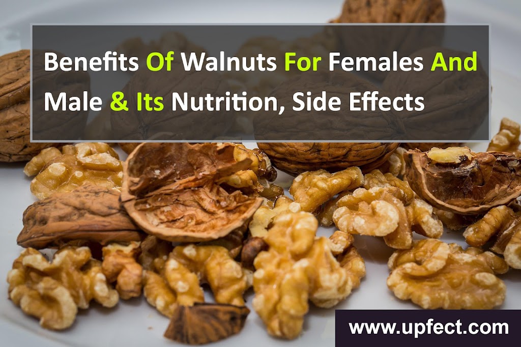 Benefits Of Walnuts for females