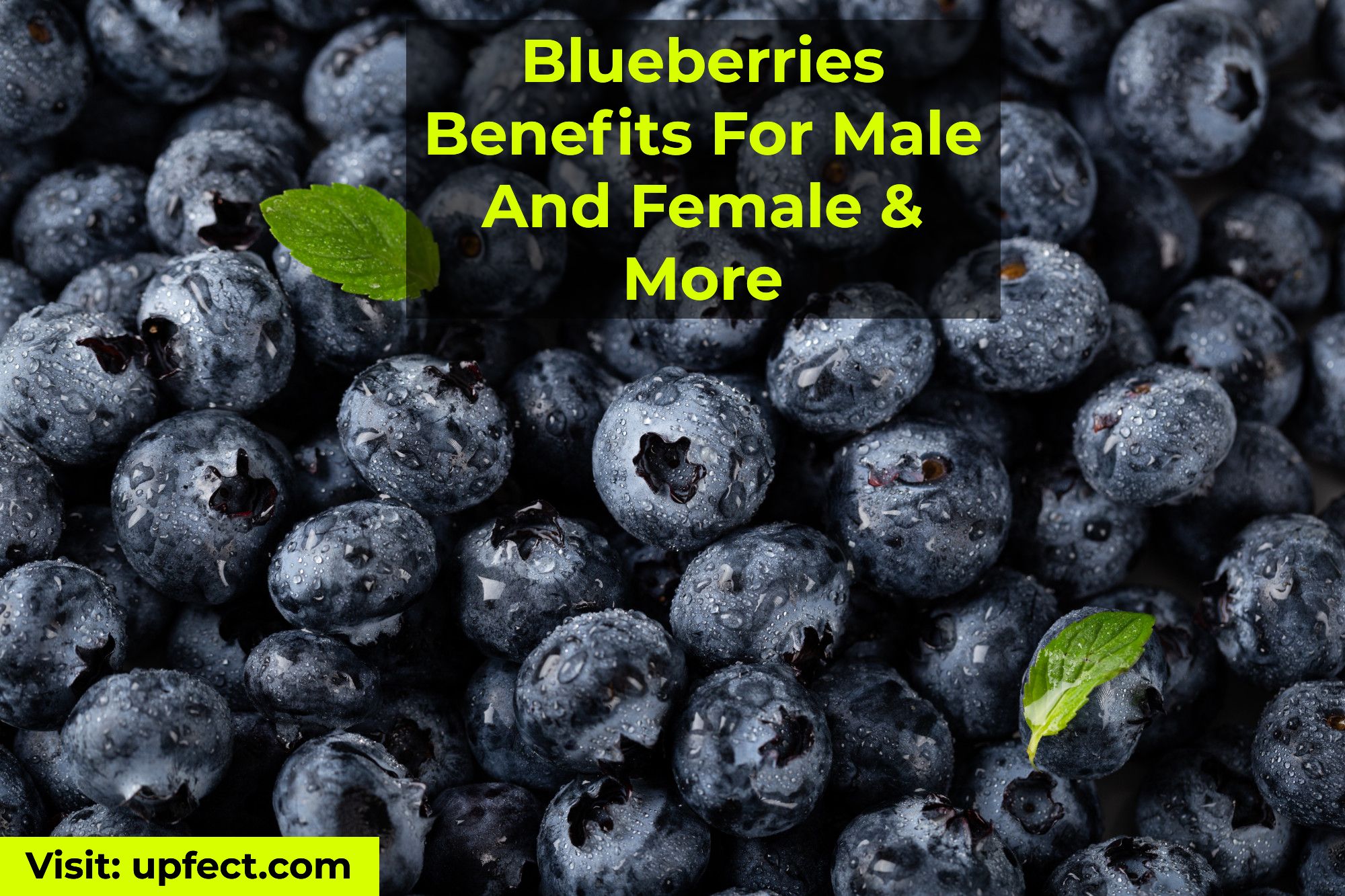 Blueberries Benefits For Male