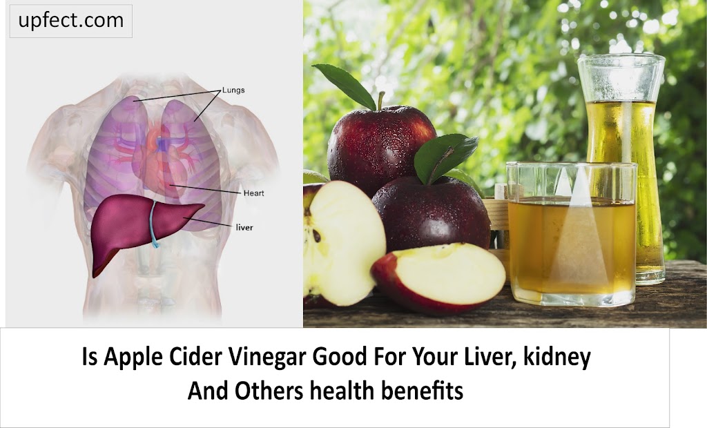 Is Apple Cider Vinegar Good For Your Liver And More