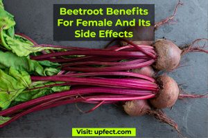 Beetroot Benefits For Female