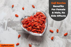 Goji Berries Benefits