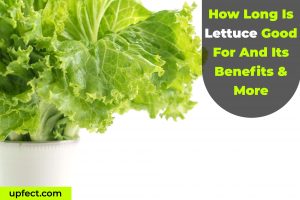 Lettuce Good
