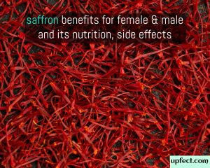 Saffron benefits for female & male and its nutrition, uses & more