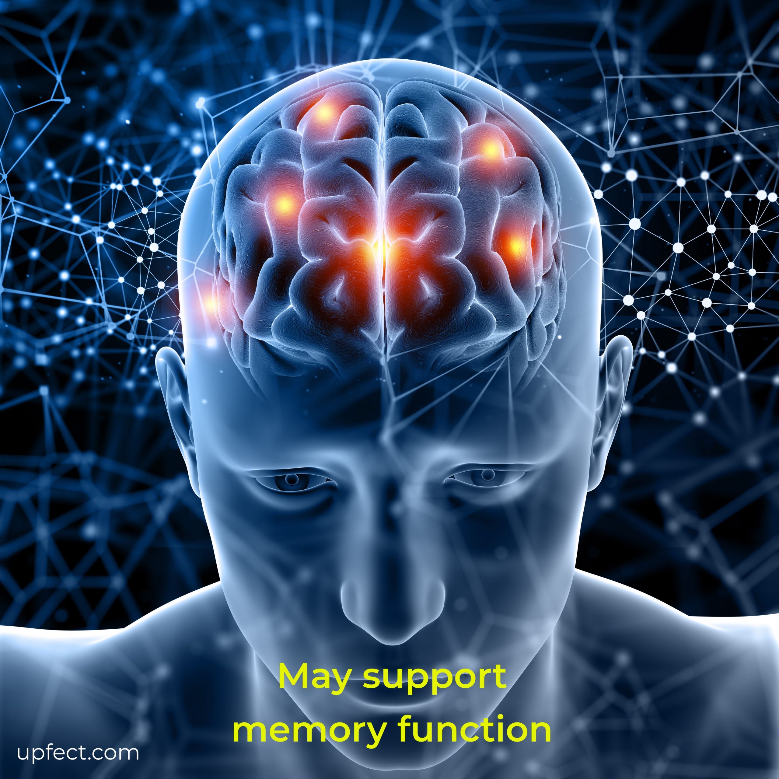 May support memory function