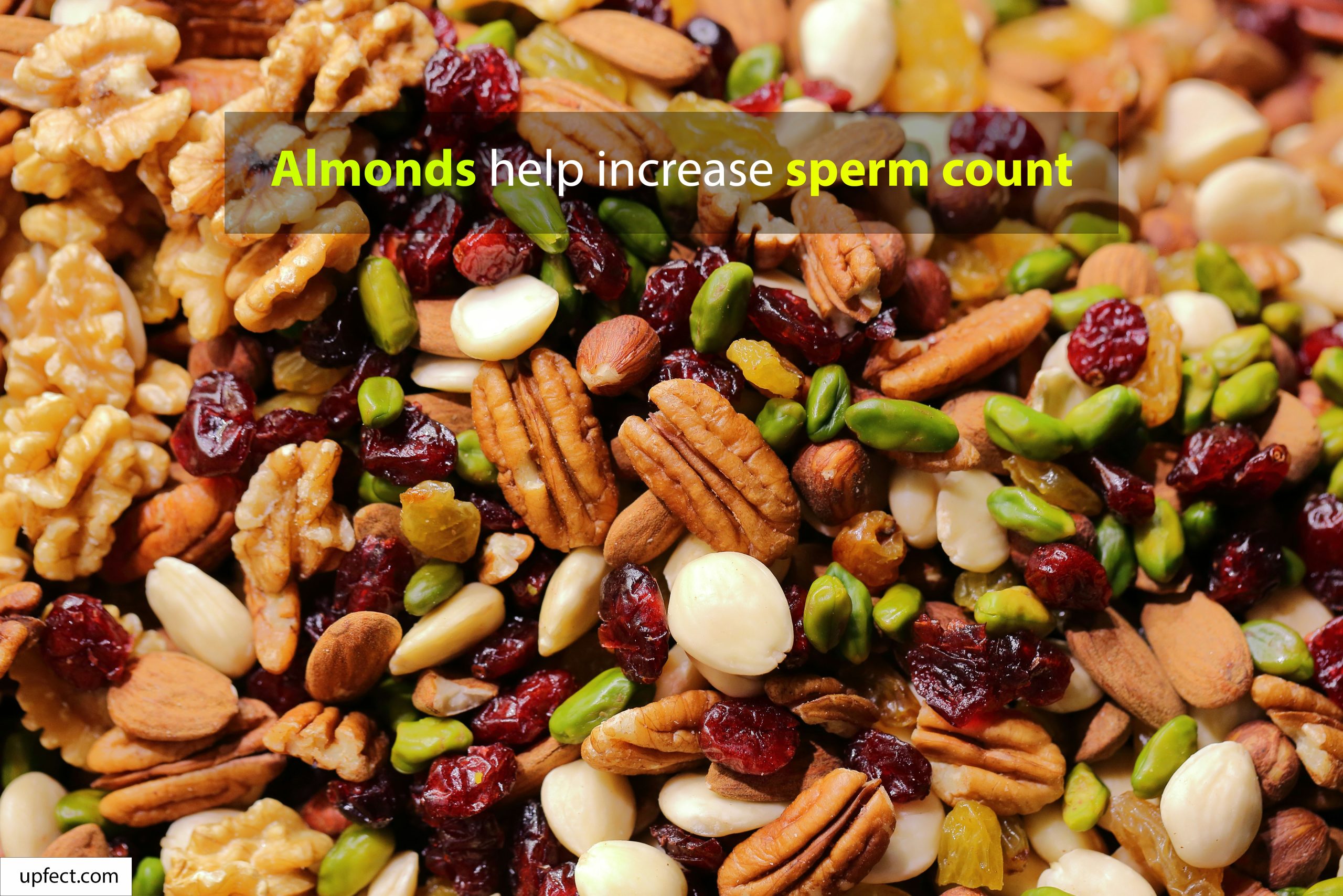 Nuts for Sperm Recovery