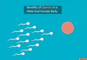 Benefits of Sperms in a Male Body