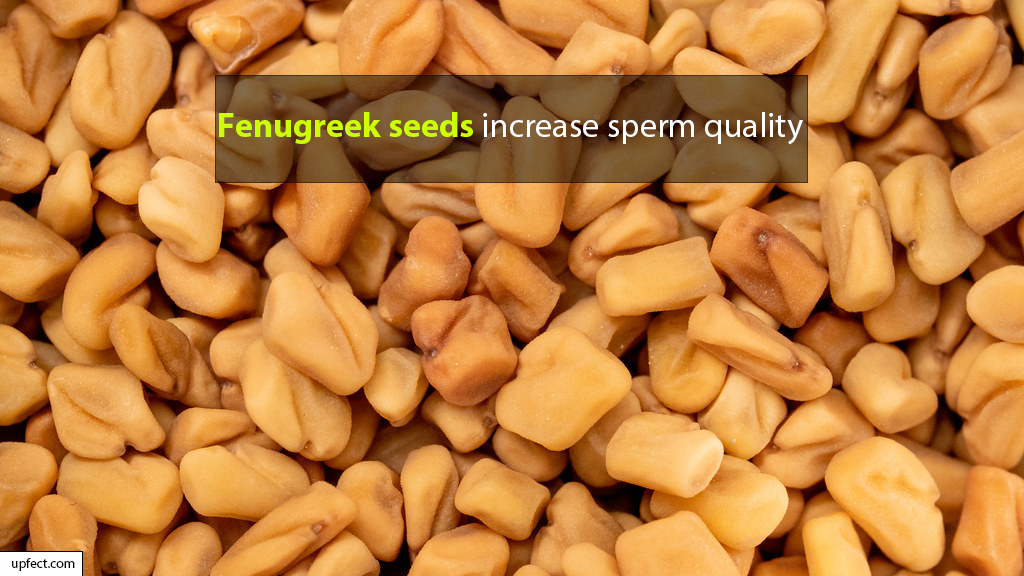 Fenugreek seeds for Boost Sperm Recovery