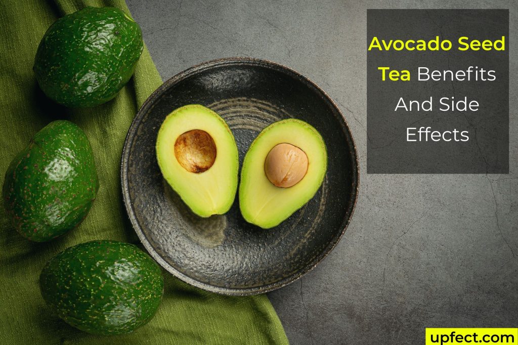 Avocado Seed Tea Side Effects
