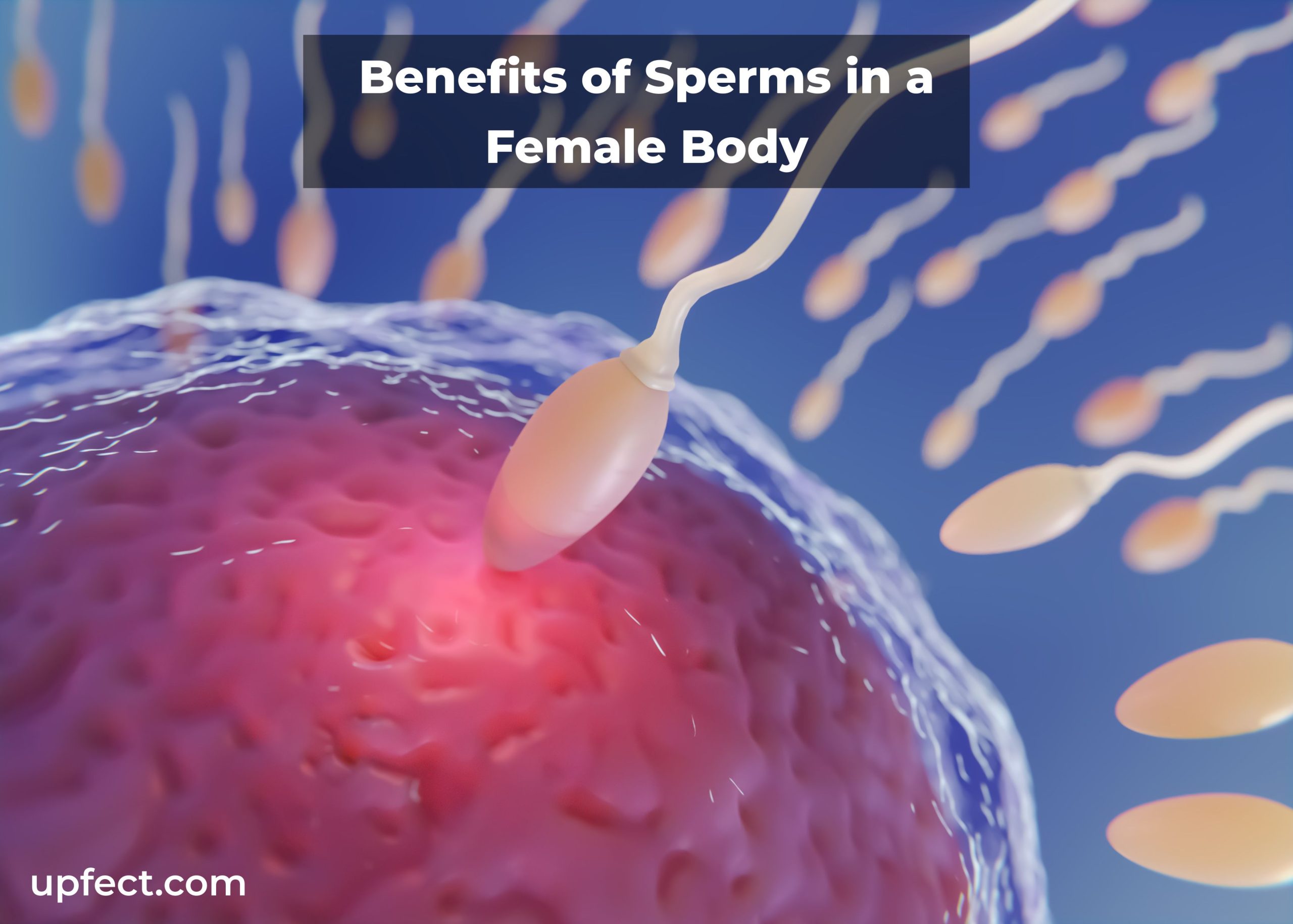 Sperms In A Female Body