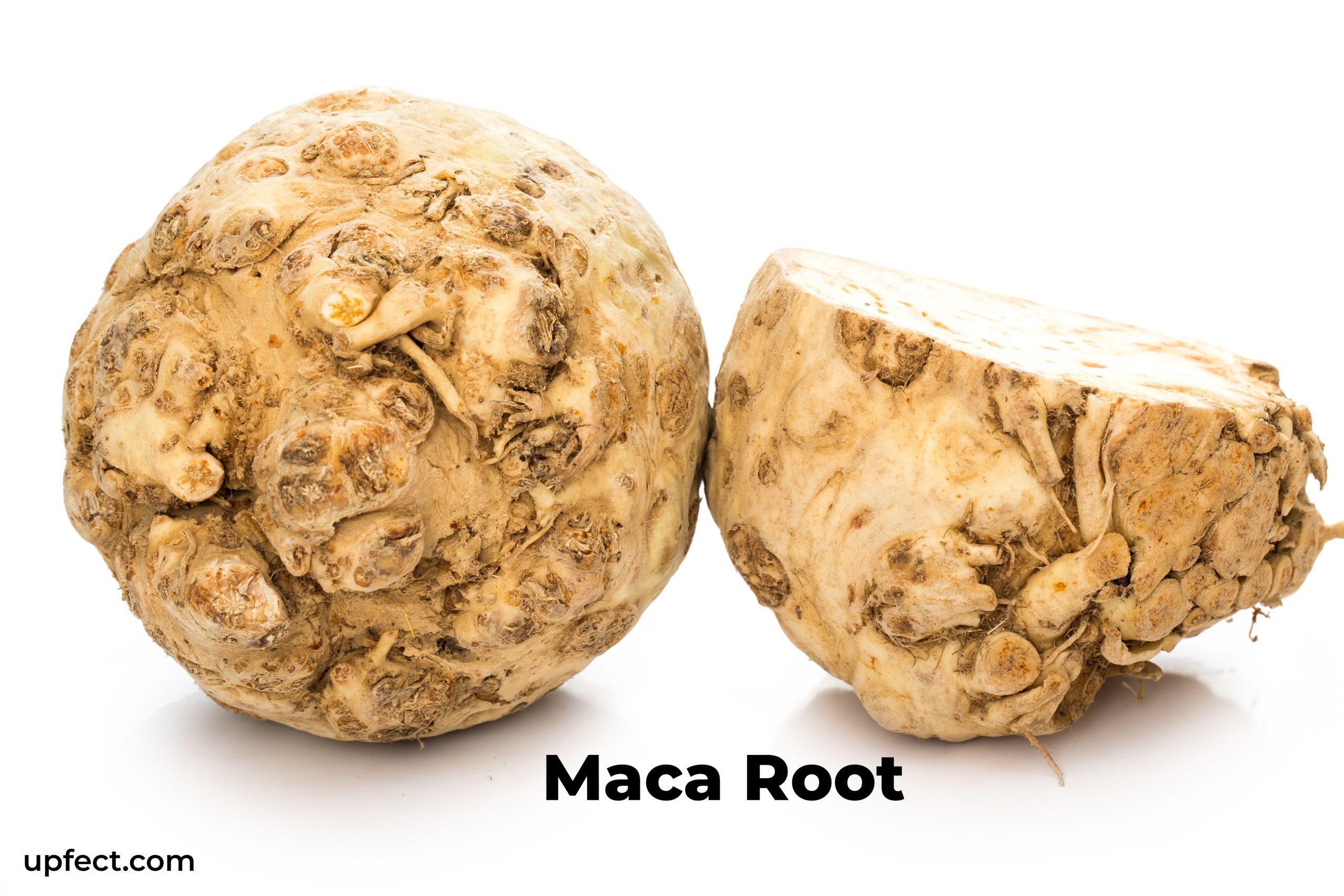 Maca root is best food for Sperm